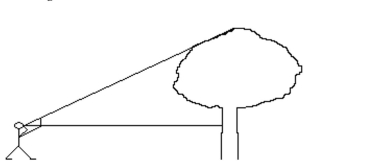 Solve the problem. -To find the height of this tree, Luis marked the tree at eye level, 1.8 meters above the ground. He Measured 35 m from the base of the tree and then held a 5-cm ruler vertically in front of his eye Until the ruler just obscured the tree above the mark. Using a string tied through a hole in one end Of the ruler, Luis found that the distance from his eye to the ruler was 5.1 centimeters. What was The height of the tree? Round to the nearest meter.