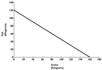 <strong>Figure 2.2   Figure 2.2 above shows the production possibilities frontier for Atikamekw Cree (ca.1600)with a historical tradition of fishing and farming.Assume they produce two goods: fish and grains. Alt text for Figure 2.2: In figure 2.2, a graph compares production of grains and fish. Long description for Figure 2.2: The x-axis is labelled, grains in kilograms, and the y-axis is labelled, fish in kilograms.The x-axis is marked from 0 to 180, in increments of 20.The y-axis is marked from 0 to 140, in increments of 20.A line slopes down from the point 0, 120 to the point 160, 0. Refer to Figure 2.2.What is the opportunity cost of one kilogram of Fish?</strong> A)   kilogram of grain B)   kilograms of grain C)1)6 kilograms of grain D)16 kilograms of grain <div style=padding-top: 35px> 