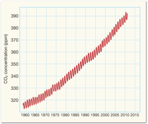 <strong>Consider the following diagram, and then answer the question below. According to current scientific consensus, what is the reason for the upward trend in overall CO<sub>2</sub> concentrations demonstrated in the graph above?</strong> A) changes in Earth's atmosphere brought about by natural climate variation B) large and increasingly frequent volcanic eruptions C) rapidly increasing fossil fuel combustion and the resulting emissions D) The causes are still unknown.