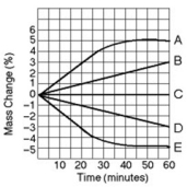 Five dialysis bags, constructed of a type of membrane that is permeable to water and impermeable to sucrose, were filled with various concentrations of sucrose and then placed in separate beakers containing an initial concentration of 0.6 M sucrose solution. At 10-minute intervals, the bags were massed (weighed), and the percent change in mass of each bag was graphed. Which line in the graph represents the bag that contained a solution isotonic to the 0.6 M solution at the beginning of the experiment?