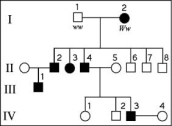 The following question refers to the pedigree chart in the figure for a family, some of whose members exhibit the dominant trait, W. Affected individuals are indicated by a dark square or circle. What is the probability that individual III-1 is Ww?