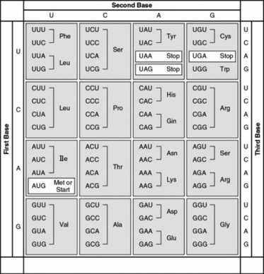 The following question refers to this table of codons. What amino acid sequence will be generated, based on the following mRNA codon sequence? 5′-AUG-UCU-UCG-UUA-UCC-UUG-3′