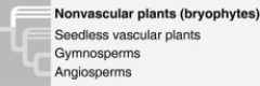 Use the figure to answer the following question.   The phylogenetic tree shown ________.