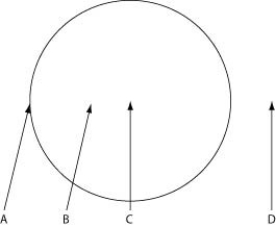 Use the information to answer the following question. The figure depicts the outline of a large fairy ring that has appeared overnight in an open meadow, as viewed from above. The fairy ring represents the furthest advance of this mycelium through the soil. Locations A-D are all 0.5 meters below the soil surface. Which location is nearest to basidiocarps?