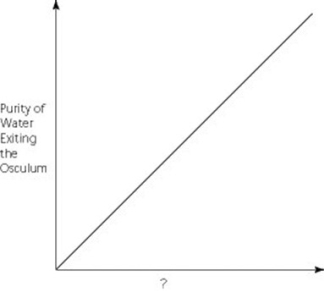 Use the graph to answer the following question.   Which of the following factors, when used to label the horizontal axis of the graph, would account most directly for the shape of the plot?