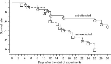 Use the following information and figure to answer the question. Aphids are Hemiptera that suck phloem liquid from plants. Ants are often seen tapping the posterior end of the aphid and collecting the liquid that is released from the aphid's digestive system. In an effort to understand this interaction, several researchers measure the survival rates of aphid populations when ants were present and when they were excluded. Their results are shown.   Which of the following conclusions is most likely correct?