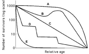 Use the survivorship curves in the figure to answer the following question. Which curve best describes survivorship in elephants?