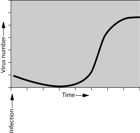 Scenario Questions Please read the following scenario to answer the following questions If you were asked to study the pattern of bacterial growth (increase in numbers over time) during an infection, you would find that numbers of bacteria increase exponentially up to a certain point. Assume that you have been asked to interpret the growth of bacteriophages. You infect the host bacteria and measure the increase of phages over a defined period of time. You plot the results and get the graph shown here. -The first thing you notice is that there is no immediate increase in viruses following infection.This is because ________.
