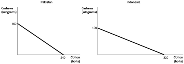 Figure 2.7 Figure 2.7 shows the production possibility frontiers for Pakistan and Indonesia. Each country produces two goods, cotton and cashews. -Refer to Figure 2.7. Which country has a comparative advantage in the production of cashews?
