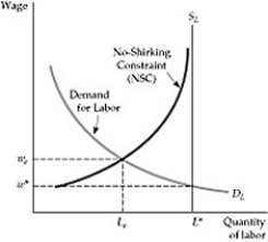Figure 17.6.1 -Refer to Figure 17.6.1 above. When the no-shirking constraint (NSC) is applied, there is: