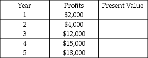 Nancy is considering forming a 5 year business partnership with Claudia. Nancy believes her portion of the partnership will generate the following profits: Nancy's appropriate discount rate is 6%. To join the partnership, Nancy needs to invest $30,000. Does the partnership offer a rate of return in excess of 6%?