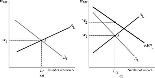 <strong> Figure 14.2.1 Refer to Figure 14.2.1 above. The value of marginal product (VMP<sub>L</sub>), or value of a marginal worker equals the wage rate,</strong> A) in panel (a). B) in panel (b). C) in both panels. D) in neither panel.
