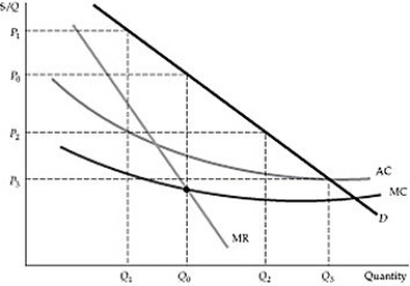 <strong>  Figure 11.2.2 Refer to Figure 11.2.2 above. If the firm chooses to charge the four prices shown on the figure instead of a single price, P<sub>0</sub>, the firm practices:</strong> A) First degree price discrimination. B) Second degree price discrimination. C) Third degree price discrimination. D) Perfect price discrimination. <div style=padding-top: 35px> 