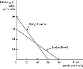 <strong> Figure 3.2.4 Refer to Figure 3.2.4. Theodore's budget line has changed from A to B. Which of the following explains the change in Theodore's budget line?</strong> A) The price of food and the price of clothing increased. B) The price of food increased, and the price of clothing decreased. C) The price of food decreased, and the price of clothing increased. D) The price of food and the price of clothing decreased. E) none of the above