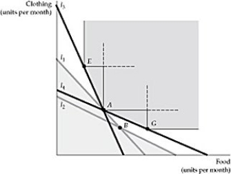 Figure 3.4.2 -Refer to Figure 3.4.2 above. From an initial position at point A, the positions the consumer chooses as her budget line changes let us conclude that: