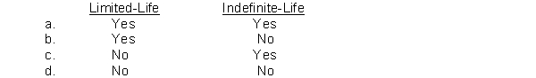 Which intangible assets are amortized?  <div style=padding-top: 35px> 