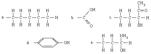 <strong>Which of the following groups is capable of only hydrophilic interactions? </strong> A)A B)B C)C D)D E)E