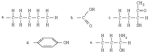 <strong>Which of the following groups is capable of only hydrophilic interactions? </strong> A)A B)B C)C D)D E)E