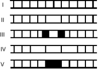 <strong>Monochromatic plane waves of light are incident normally on a single slit. Which one of the five figures below correctly shows the diffraction pattern observed on a distant screen? </strong> A) I B) II C) III D) IV E) V
