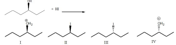 Predict the product(s) for the following reaction.  