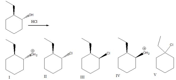 Predict the major product for the following reaction.  