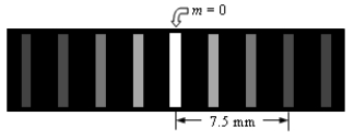 Light is incident on two slits that are separated by 0.2 mm.The figure shows the resulting interference pattern observed on a screen 1.0 m from the slits.Determine the wavelength of light used in this experiment.