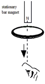 <strong>A metal ring is dropped from rest below a bar magnet that is fixed in position as suggested in the figure.An observer views the ring from below.Which one of the following statements concerning this situation is true? </strong> A)As the ring falls, an induced current will flow counterclockwise as viewed by the observer. B)As the ring falls, an induced current will flow clockwise as viewed by the observer. C)As the ring falls, there will be an induced magnetic field around the ring that appears counterclockwise as viewed by the observer. D)As the ring falls, there will be an induced magnetic field around the ring that appears clockwise as viewed by the observer. E)Since the magnet is stationary, there will be no induced current in the ring.