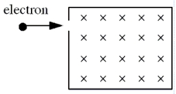 <strong>An electron traveling horizontally enters a region where a uniform magnetic field is directed into the plane of the paper as shown.Which one of the following phrases most accurately describes the motion of the electron once it has entered the field? </strong> A)upward and parabolic B)upward and circular C)downward and circular D)upward, along a straight line E)downward and parabolic