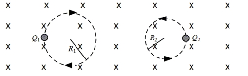 <strong>Two charged particles are traveling in circular orbits with the same speed in a region of uniform magnetic field that is directed into the page, as shown.The magnitude of the charge on each particle is identical, but the signs of the charges are unequal. Which one of the entries in the table below is correct? </strong> A) B) C) D) E)