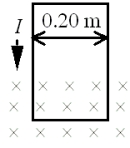 <strong>A loop of wire with a weight of 0.55 N is oriented vertically and carries a current I = 2.25 A.A segment of the wire passes through a magnetic field directed into the plane of the page as shown.The net force on the wire is measured using a balance and found to be zero.What is the magnitude of the magnetic field? </strong> A)zero tesla B)0.51 T C)0.84 T D)1.2 T E)4.5 T