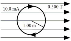 <strong>A single circular loop of radius 1.00 m carries a current of 10.0 mA.It is placed in a uniform magnetic field of magnitude 0.500 T that is directed parallel to the plane of the loop as suggested in the figure.What is the magnitude of the torque exerted on the loop by the magnetic field? </strong> A)1.57 × 10<sup>-</sup><sup>2</sup> N .m B)3.14 × 10<sup>-</sup><sup>2</sup> N .m C)6.28 × 10<sup>-</sup><sup>2</sup> N . m D)9.28 × 10<sup>-</sup><sup>2</sup> N .m E)zero N . m