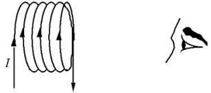 <strong>A coil of wire carries current I as shown in the figure.If the observer could see the magnetic field inside this arrangement of loops, how would it appear? </strong> A)a B)b C)c D)d E)e