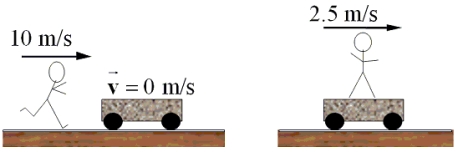 <strong>A 50.0-kg boy runs at a speed of 10.0 m/s and jumps onto a cart as shown in the figure.The cart is initially at rest.If the speed of the cart with the boy on it is 2.50 m/s, what is the mass of the cart? </strong> A)150 kg B)175 kg C)210 kg D)260 kg E)300 kg