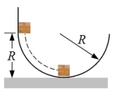 <strong>A block of mass m is released from rest at a height R above a horizontal surface.The acceleration due to gravity is g.The block slides along the inside of a frictionless circular hoop of radius R. What is the magnitude of the normal force exerted on the block by the hoop when the block reaches the bottom of the hoop?</strong> A)zero newtons B)mg<sup>2</sup>/R C)mg D)2mg E)3mg