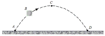 <strong>A tennis ball is thrown upward at an angle from point A.It follows a parabolic trajectory and hits the ground at point D.At the instant shown, the ball is at point B.Point C represents the highest position of the ball above the ground. While in flight, how do the x and y components of the velocity vector of the ball compare at the points B and C?</strong> A)The velocity components are non-zero at B and zero at C. B)The x components are the same; the y component at C is zero m/s. C)The x components are the same; the y component has a larger magnitude at C than at B. D)The x component is larger at C than at B; the y component at B points up while at C, it points downward. E)The x component is larger at B than at C; the y component at B points down while at C, it points upward.
