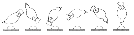 <strong>The figure below from your text illustrates _______. </strong> A) shaping B) chaining C) random behavior D) secondary reinforcement