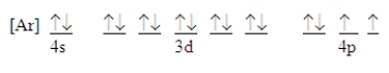 <strong>Which ground-state atom has an electron configuration described by the following orbital diagram?  </strong> A)phosphorus B)germanium C)selenium D)tellurium E)none of these <div style=padding-top: 35px> 
