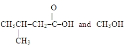 <strong>Which choice gives the structures of the reaction products when the ester below is hydrolyzed in acid solution?  </strong> A)   B)   C)   D)   <div style=padding-top: 35px> 