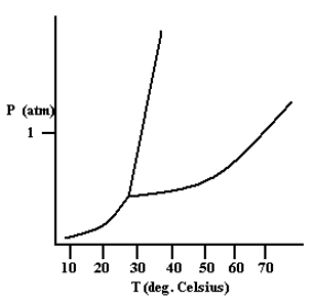 <strong>Based on the phase diagram shown below, how will the melting point of the substance change if the pressure is increased above 1 atm?  </strong> A)The melting point will decrease. B)The melting point will remain the same. C)The melting point will increase. D)The substance will not melt at pressures of 1 atm and above; instead, the solid sublimes to form the gas phase. <div style=padding-top: 35px> 