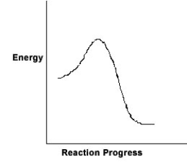 <strong>For the chemical reaction system described by the diagram below, which statement is true? </strong> A)The forward reaction is endothermic. B)The activation energy for the forward reaction is greater than the activation energy for the reverse reaction. C)At equilibrium, the activation energy for the forward reaction is equal to the activation energy for the reverse reaction. D)The activation energy for the reverse reaction is greater than the activation energy for the forward reaction. E)The reverse reaction is exothermic.