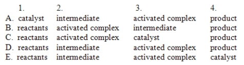 With respect to the figure below, which choice correctly identifies all the numbered positions?