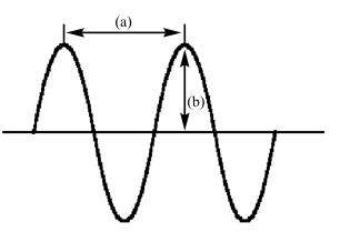 <strong>In the following diagram of a wave </strong> A)(a)is amplitude and (b)is wavelength B)(a)is frequency and (b)is amplitude C)(a)is wavelength and (b)is frequency D)(a)is amplitude and (b)is frequency E)(a)is wavelength and (b)is amplitude
