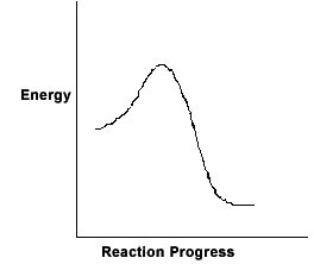 <strong>For the chemical reaction system described by the diagram below, which statement is true </strong> A) The forward reaction is endothermic. B) The activation energy for the forward reaction is greater than the activation energy for the reverse reaction. C) At equilibrium, the activation energy for the forward reaction is equal to the activation energy for the reverse reaction. D) The activation energy for the reverse reaction is greater than the activation energy for the forward reaction. E) The reverse reaction is exothermic.