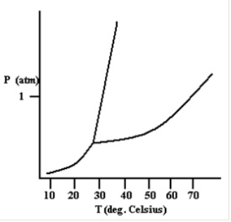 Based on the phase diagram shown below, how will the melting point of the substance change if the pressure is increased above 1 atm