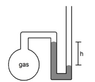 <strong>What is the pressure of the sample of gas trapped in the open-tube mercury manometer shown below if atmospheric pressure is 736 mmHg and h = 9.2 cm </strong> A) 92 mmHg B) 644 mmHg C) 736 mmHg D) 828 mmHg