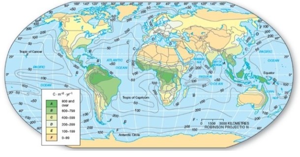 <strong> In which of the following areas would one tend to find the highest net primary productivity?</strong> A)Northern Brazil. B)Central Australia. C)Western Canada. D)Eurasia.