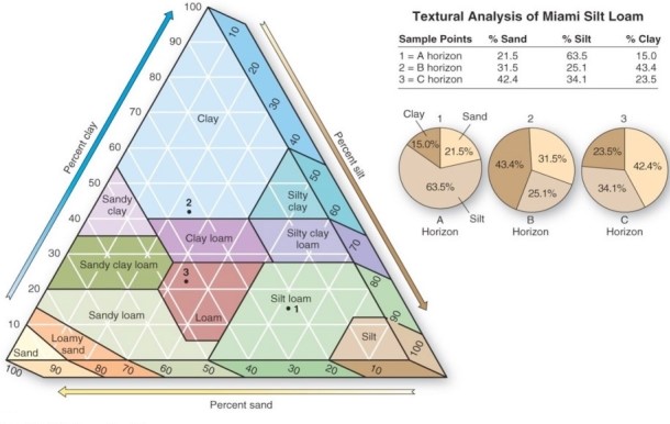 <strong>  Which is a soil that is 40% sand,40% silt,and 20% clay?</strong> A)Loam. B)Silty clay. C)Silt loam. D)Clay loam. <div style=padding-top: 35px> 