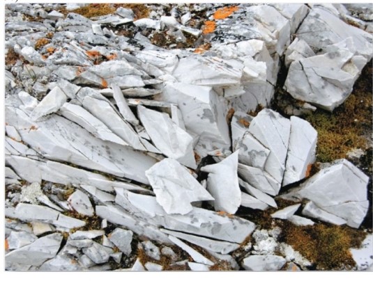 <strong> Which is likely the weathering process responsible for breaking this marble?</strong> A)Exfoliation. B)Carbonation. C)Frost wedging. D)Salt-crystal growth.
