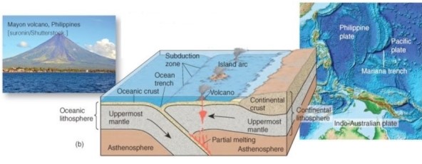 <strong> What type of convergent boundary associated with orogeny is illustrated here?</strong> A)Oceanic plate-continental plate collision. B)Oceanic plate-oceanic plate collision. C)Continental-plate-continental plate collision.