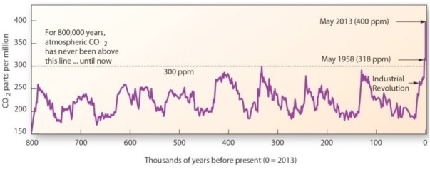 <strong> Which correctly describes carbon dioxide (CO2)concentrations over the past 800,000 years?</strong> A)These have remained relatively constant. B)These were much higher in the past than the present. C)These fluctuated over time,but have been increasing since the Industrial Revolution. D)These reached a maximum about 325 000 years before present.